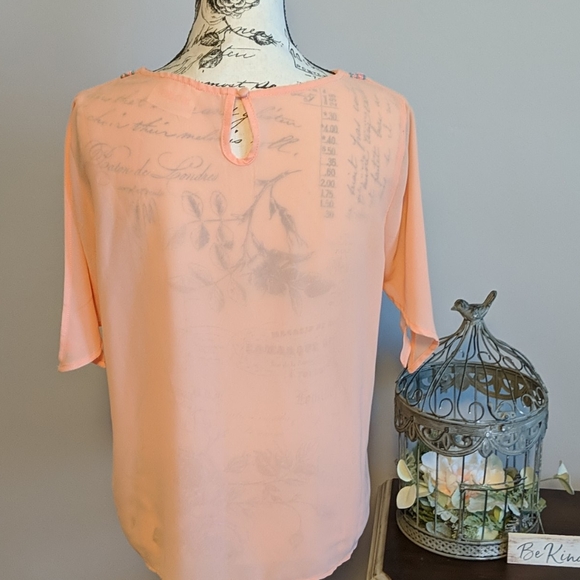 Pink Embroidered Top - Picture 3 of 4